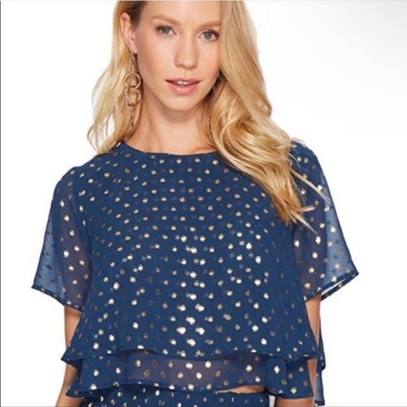 Show Me Your Mumu Candice Blue & Gold Polka Dot Crop Top Size Medium - Picture 2 of 10